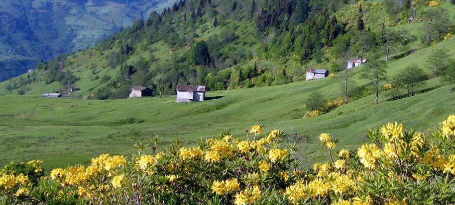 Çaykara Şahinkaya Köyü Resimleri 11