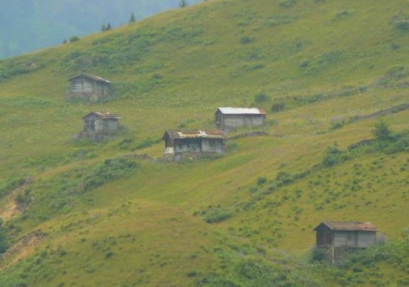 Çaykara Şahinkaya Köyü Resimleri 29
