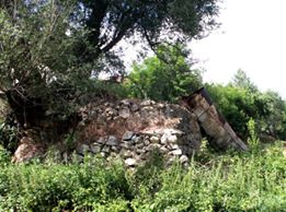 Afşin  Alimpınar Köyü Resimleri 10