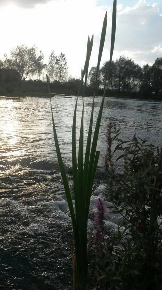 Afşin Altaş Köyü Resimleri 1