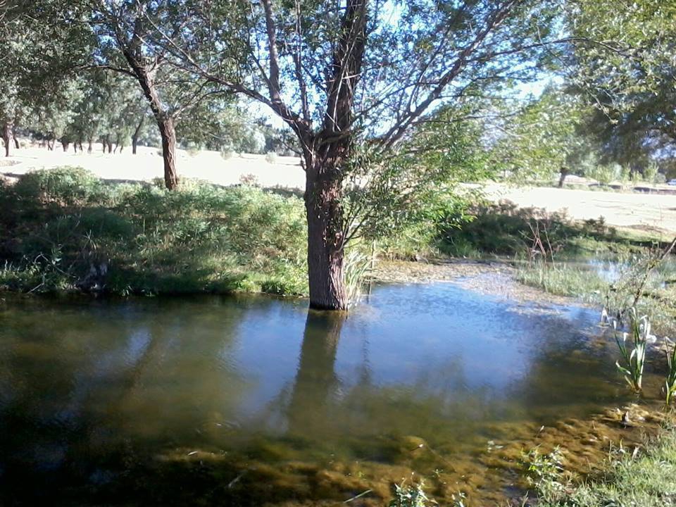 Afşin Altaş Köyü Resimleri 9