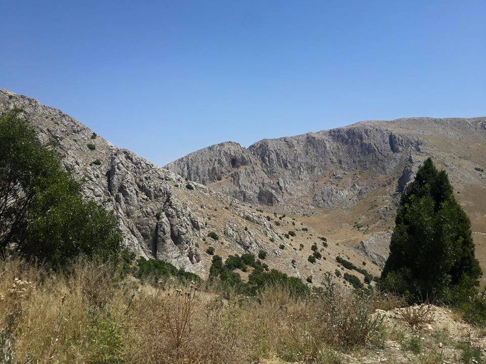 Afşin Armutalanı Köyü Resimleri 10