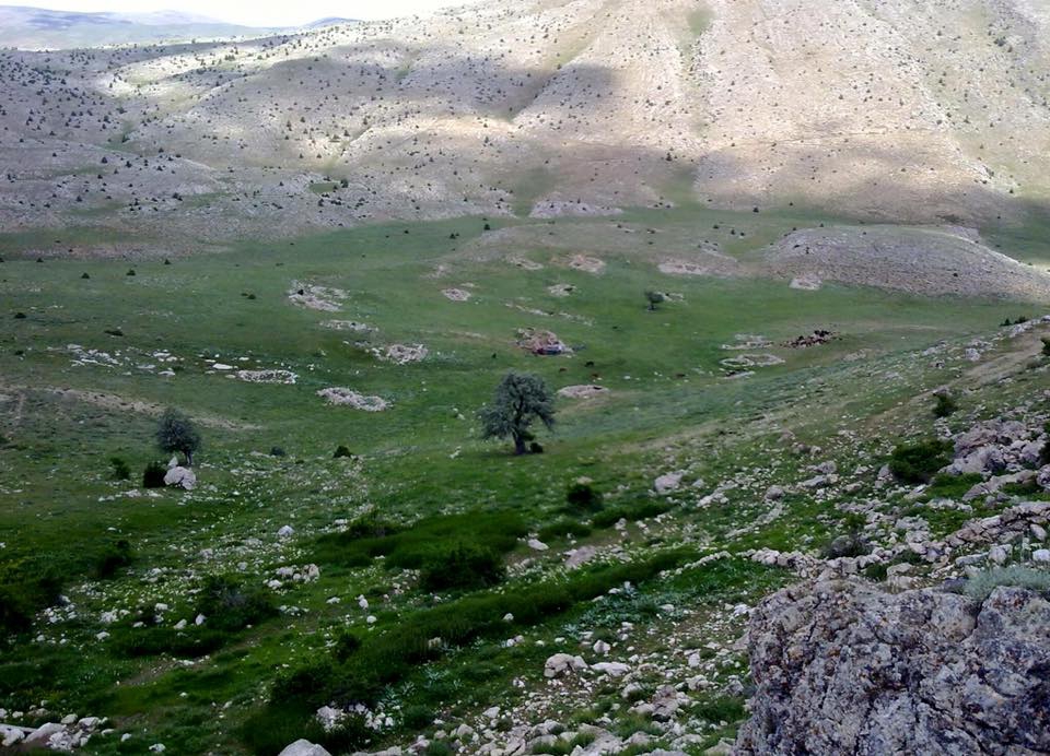 Afşin Armutalanı Köyü Resimleri 5