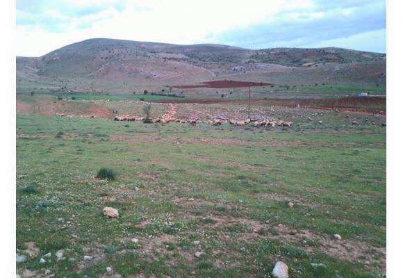Afşin Başüstü Köyü Resimleri 3