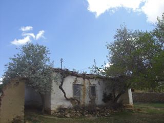 Afşin Başüstü Köyü Resimleri 8