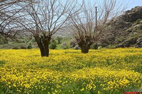 Afşin Binboğa  Köyü Resimleri 1