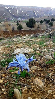 Afşin Binboğa  Köyü Resimleri 10