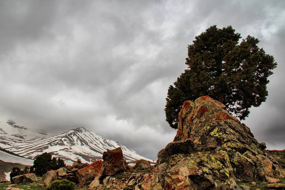 Afşin Binboğa  Köyü Resimleri 6
