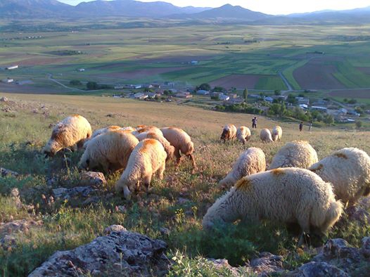 Afşin Çağılhan Köyü Resimleri 10