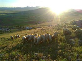 Afşin Çağılhan Köyü Resimleri 9