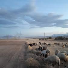 Afşin Çomudüz Köyü Resimleri 7