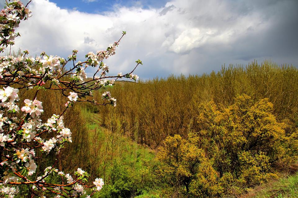 Afşin  Deveboynu Köyü Resimleri 10