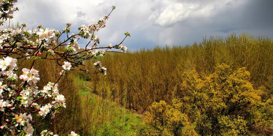 Afşin  Deveboynu Köyü Resimleri
