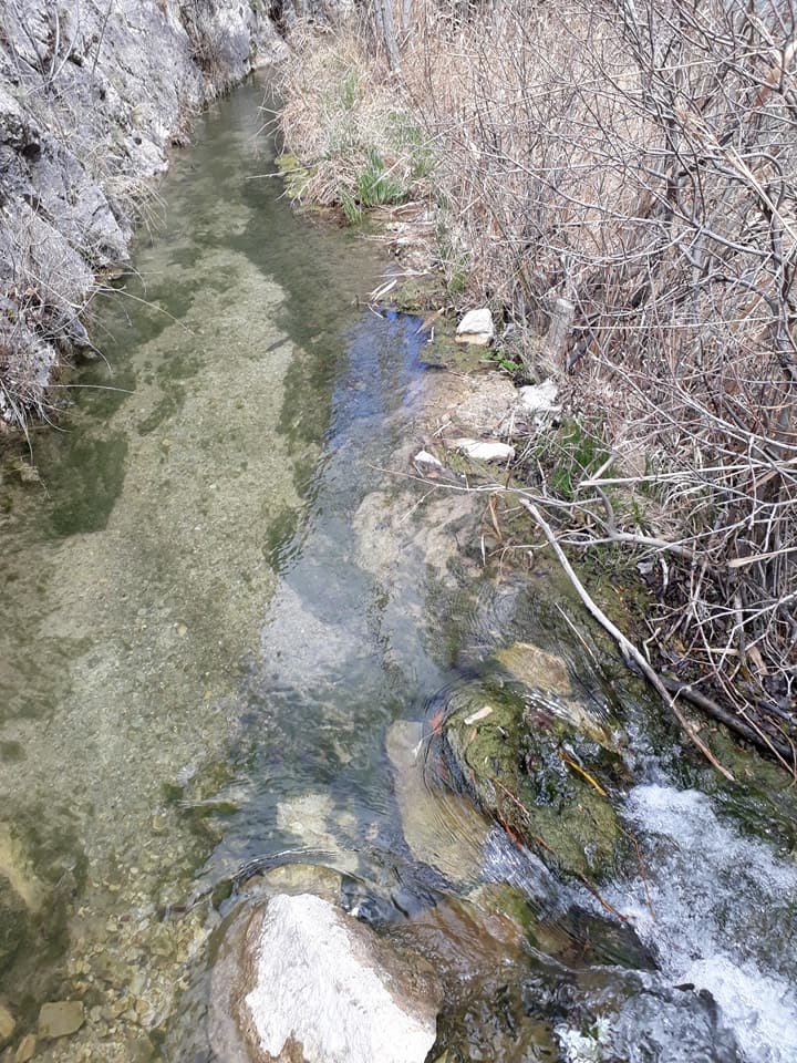 Afşin  Dokuztay Köyü Resimleri 8