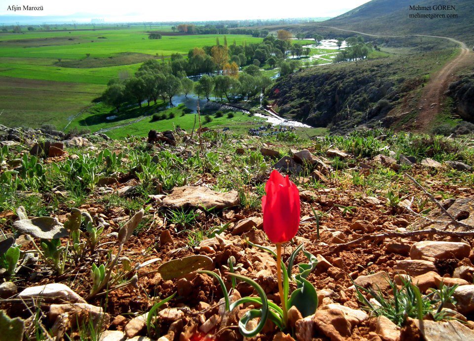 Afşin  Emirilyas Köyü Resimleri 9