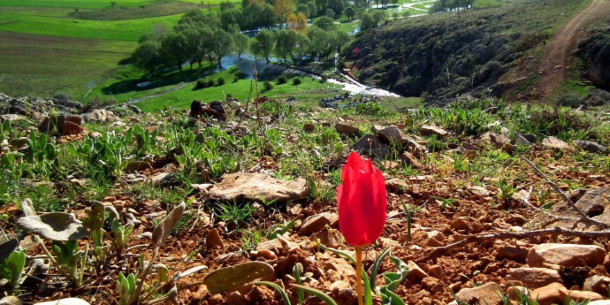 Afşin  Emirilyas Köyü Resimleri
