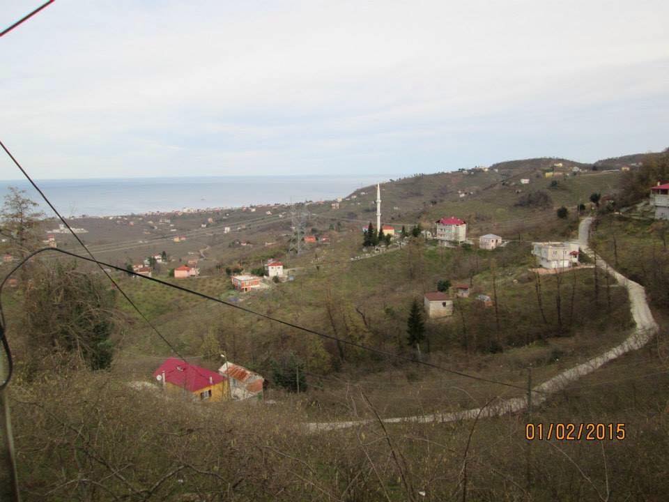 Tirebolu Arageriş Köyü Resimleri 4