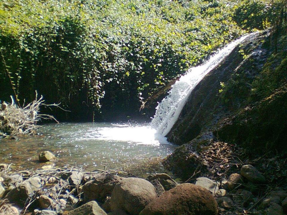Tirebolu Arageriş Köyü Resimleri 6