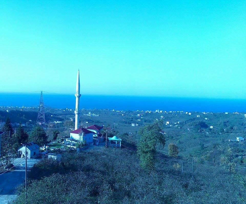 Tirebolu Arageriş Köyü Resimleri 7
