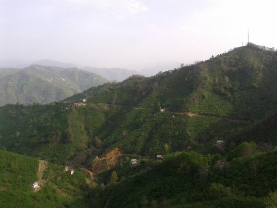 Tirebolu Arslancık Köyü Resimleri 1