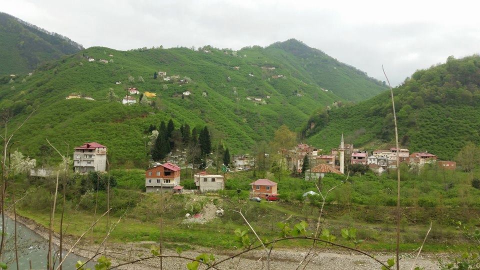 Tirebolu Arslancık Köyü Resimleri 11