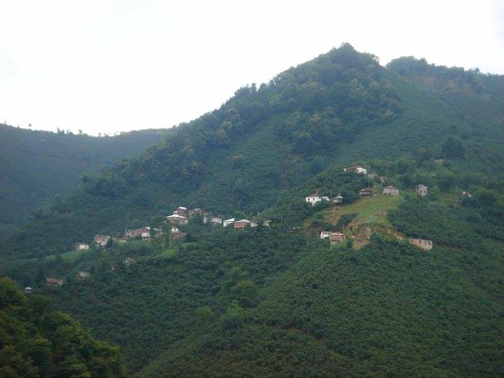 Tirebolu Arslancık Köyü Resimleri 5