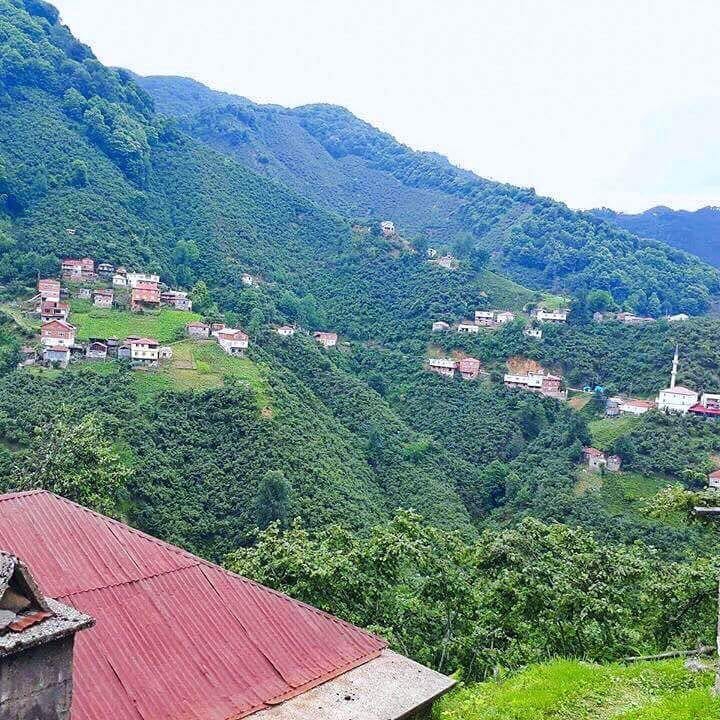 Tirebolu Arslancık Köyü Resimleri 8