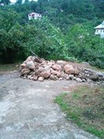 Tirebolu Arslancık Köyü Resimleri 9