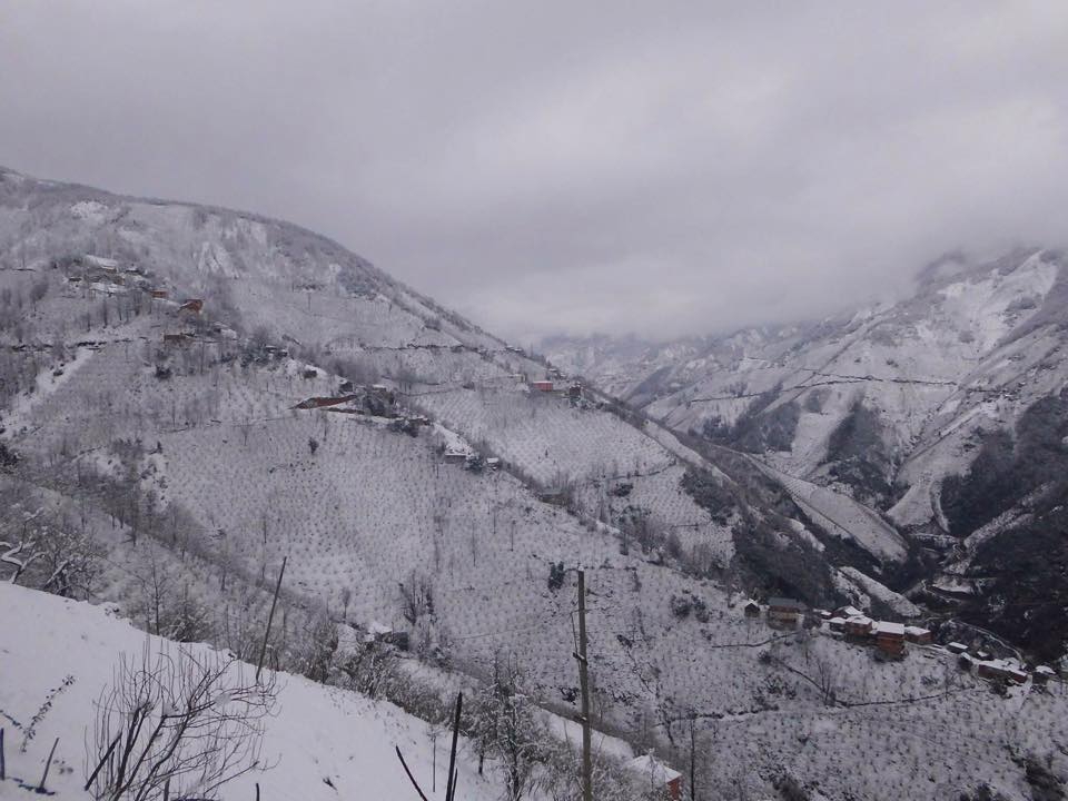 Tirebolu Aşağıboynuyoğun Köyü Resimleri 3