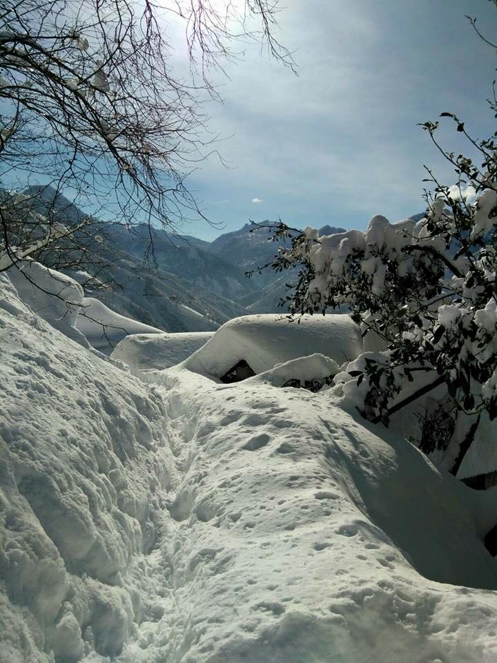 Tirebolu Aşağıboynuyoğun Köyü Resimleri 5