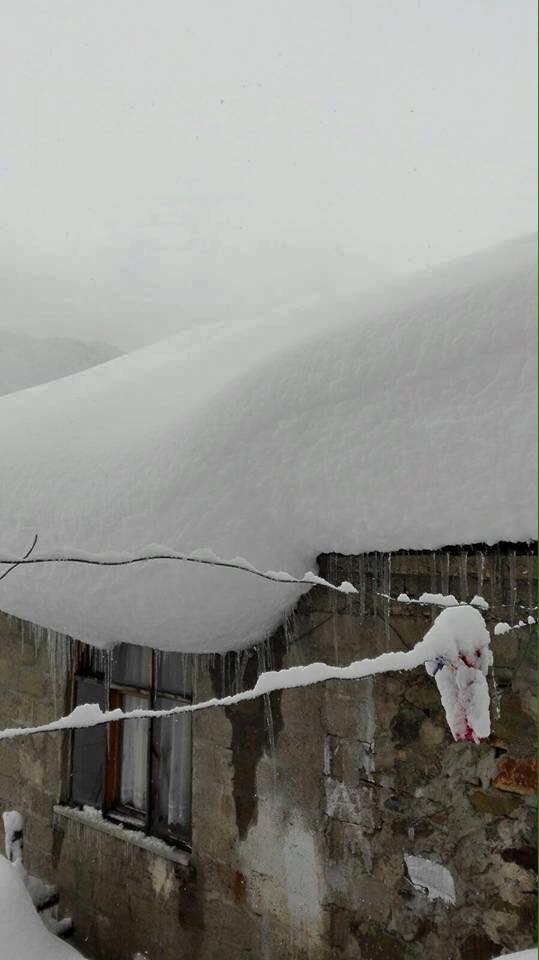 Tirebolu Aşağıboynuyoğun Köyü Resimleri 6