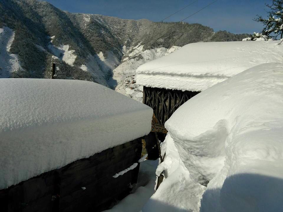 Tirebolu Aşağıboynuyoğun Köyü Resimleri 7
