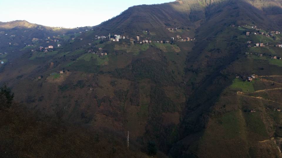 Tirebolu Aşağıboynuyoğun Köyü Resimleri 8