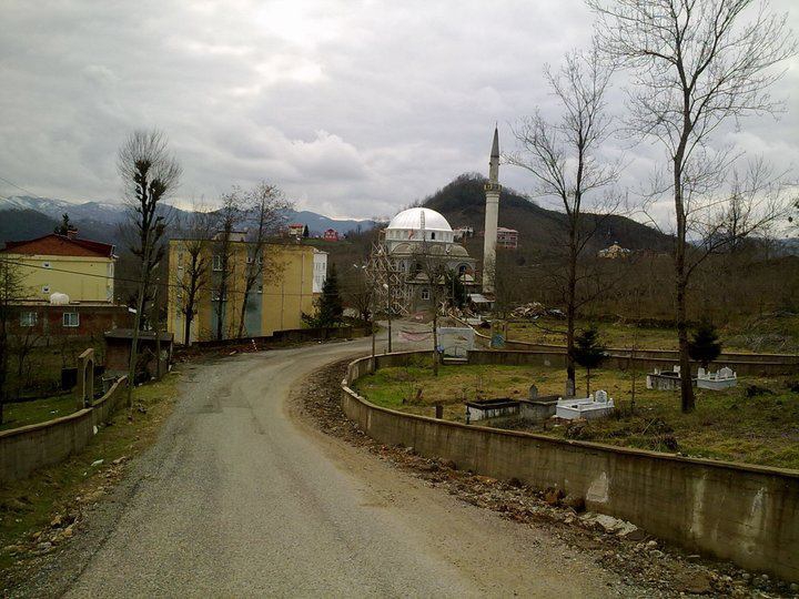 Tirebolu Balçıkbelen Köyü Resimleri 1