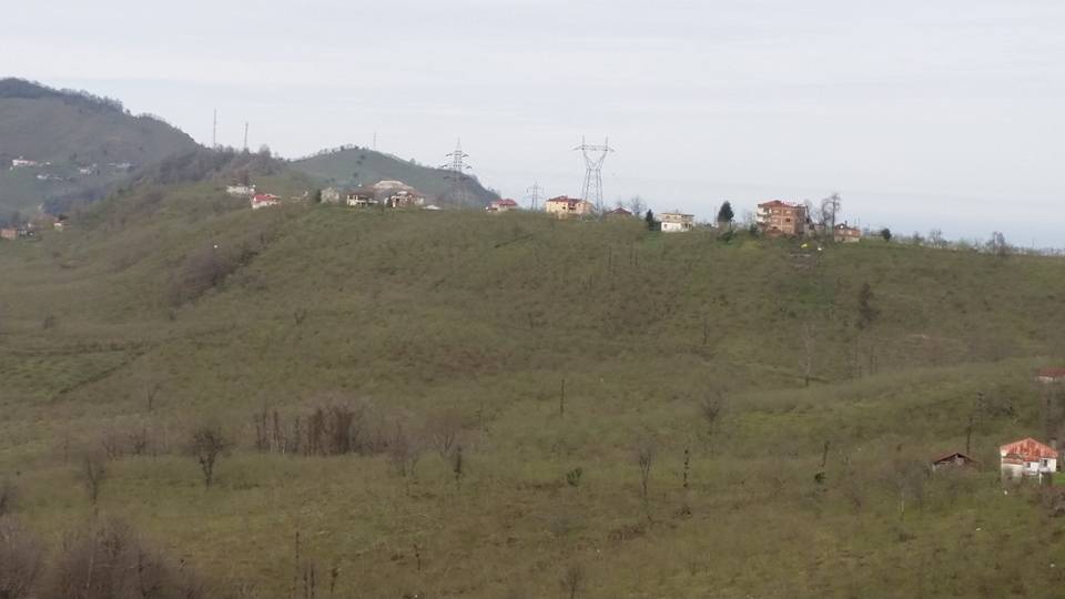 Tirebolu Balçıkbelen Köyü Resimleri 6