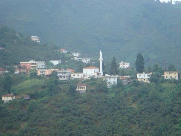 Tirebolu Civil Köyü Resimleri 3