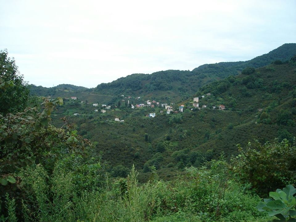 Tirebolu Civil Köyü Resimleri 6