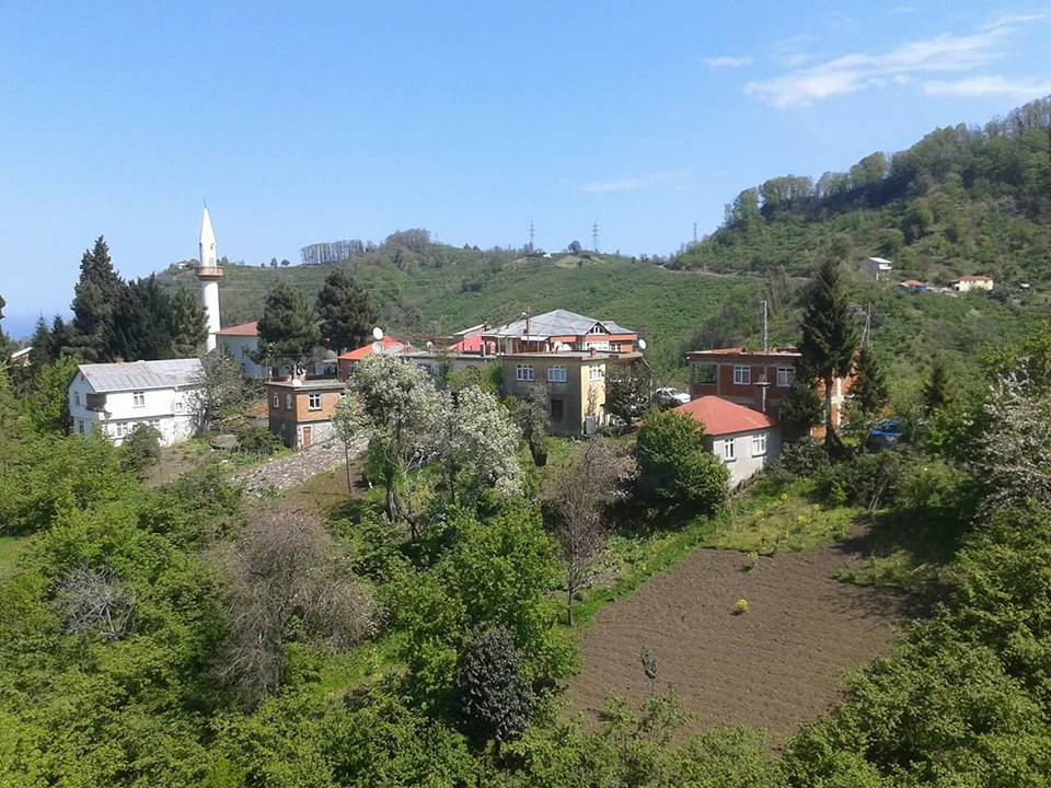 Tirebolu Civil Köyü Resimleri 7