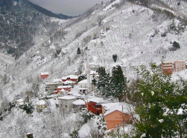 Tirebolu Civil Köyü Resimleri 8