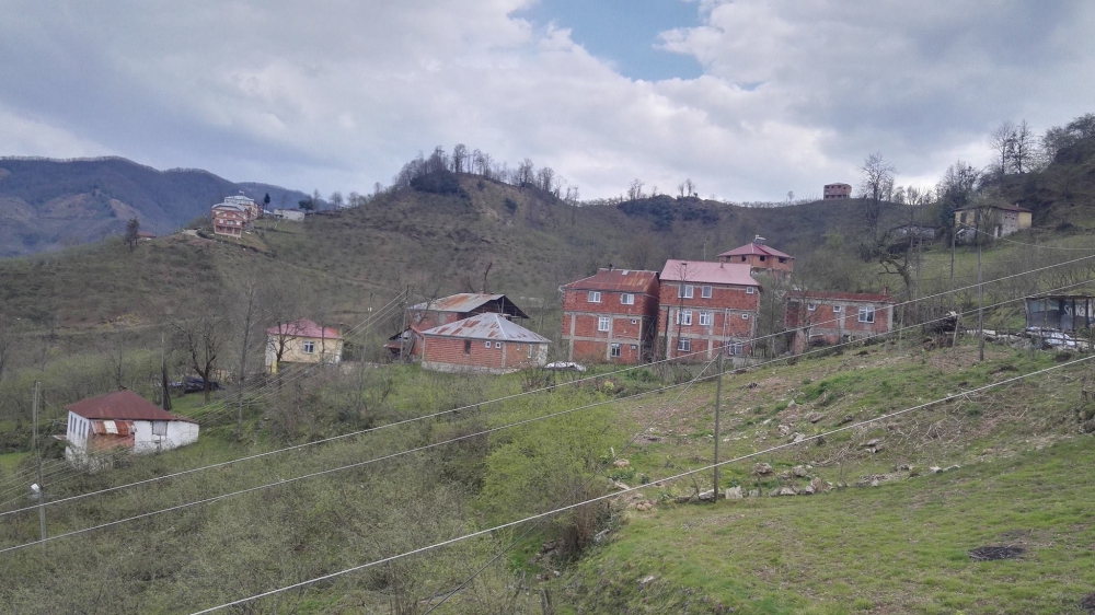 Tirebolu Danışman Köyü Resimleri 11