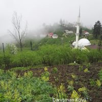 Tirebolu Danışman Köyü Resimleri 13