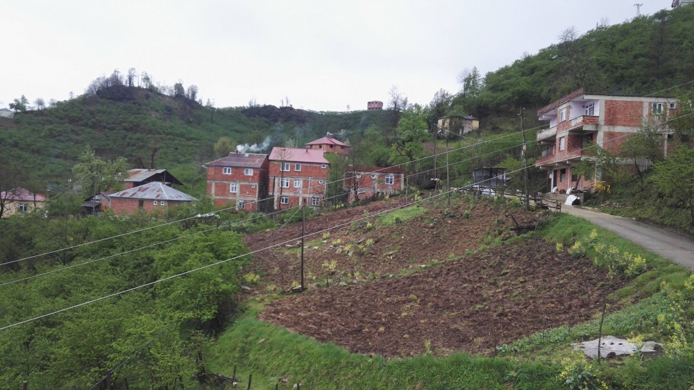 Tirebolu Danışman Köyü Resimleri 14
