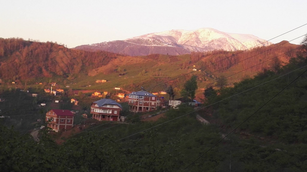 Tirebolu Danışman Köyü Resimleri 15