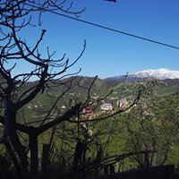 Tirebolu Danışman Köyü Resimleri 16