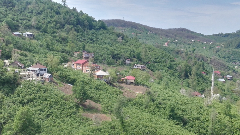 Tirebolu Danışman Köyü Resimleri 17