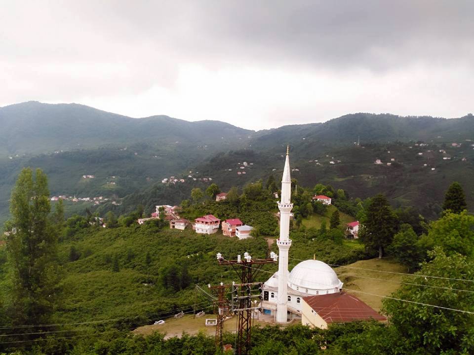 Tirebolu Danışman Köyü Resimleri 2