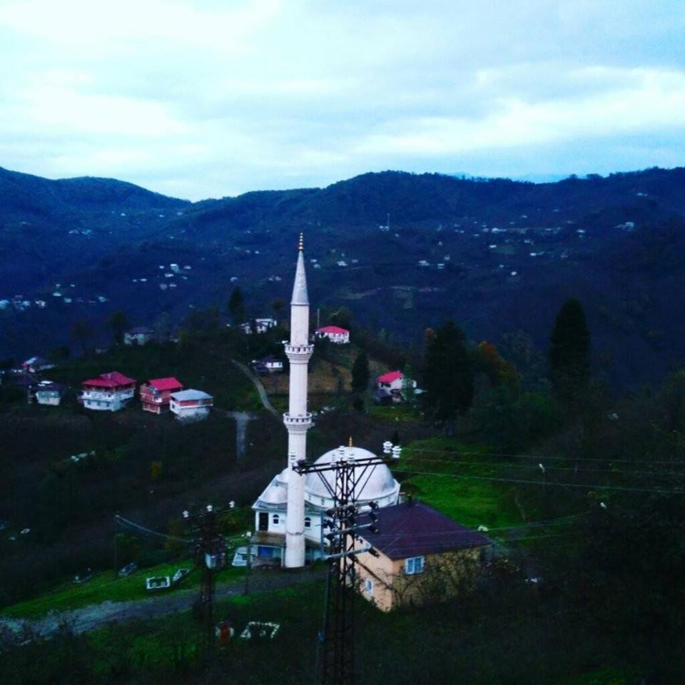 Tirebolu Danışman Köyü Resimleri 3