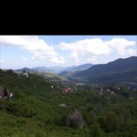 Tirebolu Danışman Köyü Resimleri 5