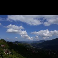 Tirebolu Danışman Köyü Resimleri 6