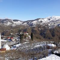 Tirebolu Danışman Köyü Resimleri 7